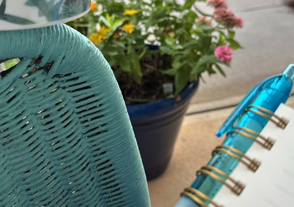 War of the&nbsp;Words