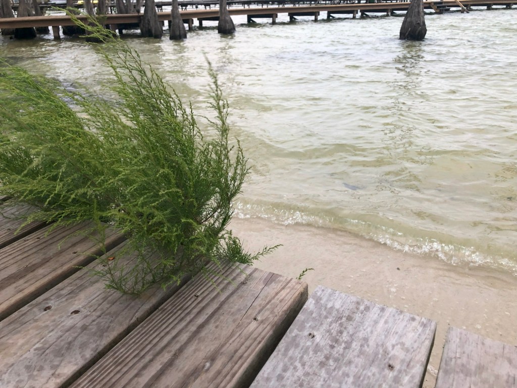 A Reminder of&nbsp;Things